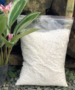 Đá Perlite - đá trân châu, Bao lớn 700gr