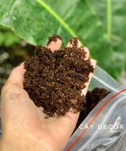 Peat moss/Peatman hàng chuẩn bao 1kg