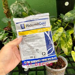 Thuốc trừ nấm Ridomil Gold 68WP cho Lan, kiểng lá - Gói 100g