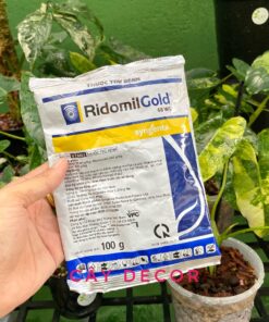 Thuốc trừ nấm Ridomil Gold 68WP cho Lan, kiểng lá - Gói 100g