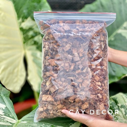 Xơ dừa cục ĐÃ XỬ LÝ cho kiểng lá, lan, size 1-2cm gói 1kg
