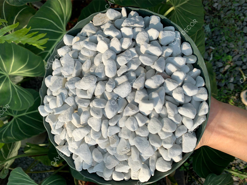 Đá PERLITE 8-12mm