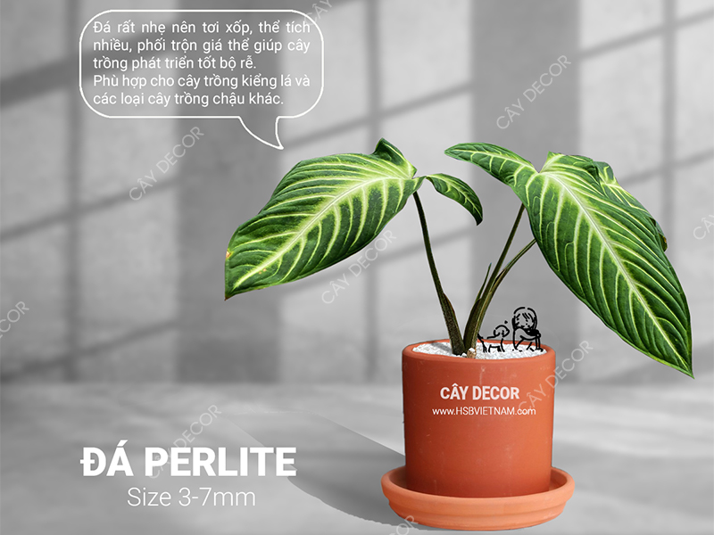 Đá PERLITE 3-7mm