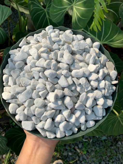 Đá PERLITE 8-12mm