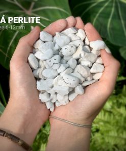 Đá PERLITE 8-12mm