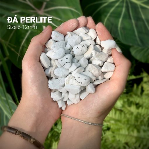 Đá PERLITE 8-12mm