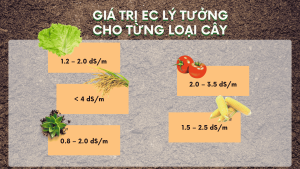 EC trong đất là gì? Ý nghĩa, cách đo và ứng dụng trong nông nghiệp 