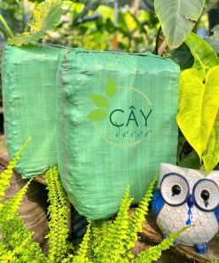 DỪA CỤC CHƯA XỬ LÝ 1CM – KIỆN ÉP 100L