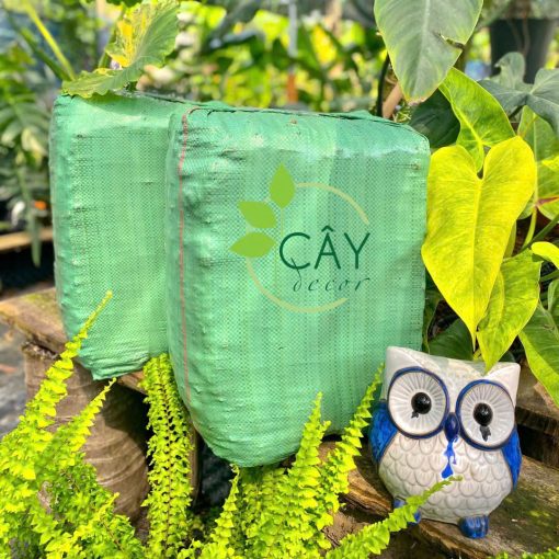 DỪA CỤC CHƯA XỬ LÝ 1CM – KIỆN ÉP 100L
