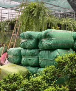 DỪA CỤC CHƯA XỬ LÝ 1CM – KIỆN ÉP 100L