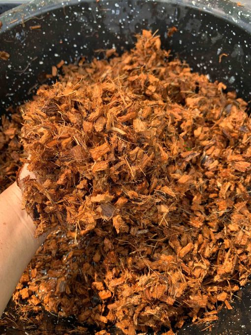 DỪA CỤC CHƯA XỬ LÝ SIZE 1CM – TÚI 1KG