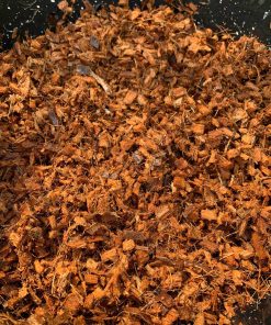 DỪA CỤC CHƯA XỬ LÝ SIZE 1CM – TÚI 1KG