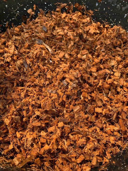 DỪA CỤC CHƯA XỬ LÝ SIZE 1CM – TÚI 1KG