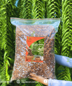 GIÁ THỂ TRỘN ĐÃ XỬ LÝ DÀNH RIÊNG CHO KIỂNG LÁ TRONG NHÀ - túi 1kg