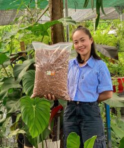 Giá thể trộn phổ thông