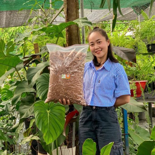 Giá thể trộn phổ thông